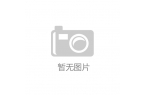 级体验重新定义大六座SUV价值标准！九游