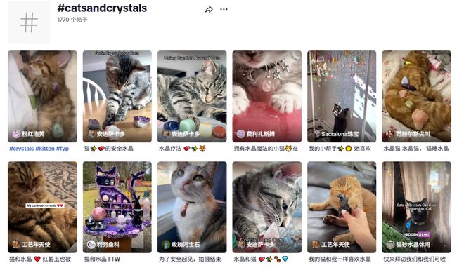 款卖家单品月销6000单j9国际站宠物水晶成爆(图3) 款卖家单品月销6000单j9国际站宠物水晶成爆(图3)